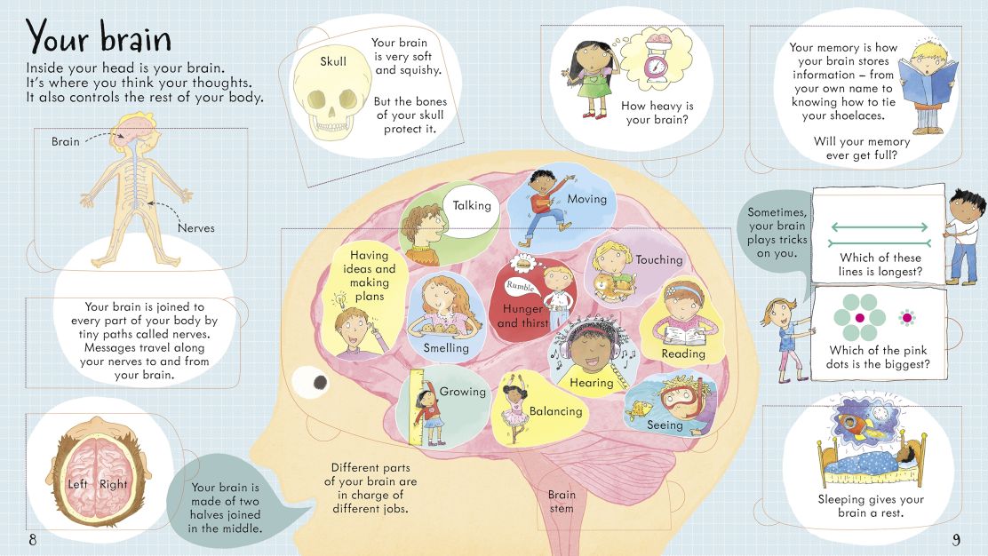 Priveste in interiorul corpului tau, Look inside your body, Usborne, +5 ani