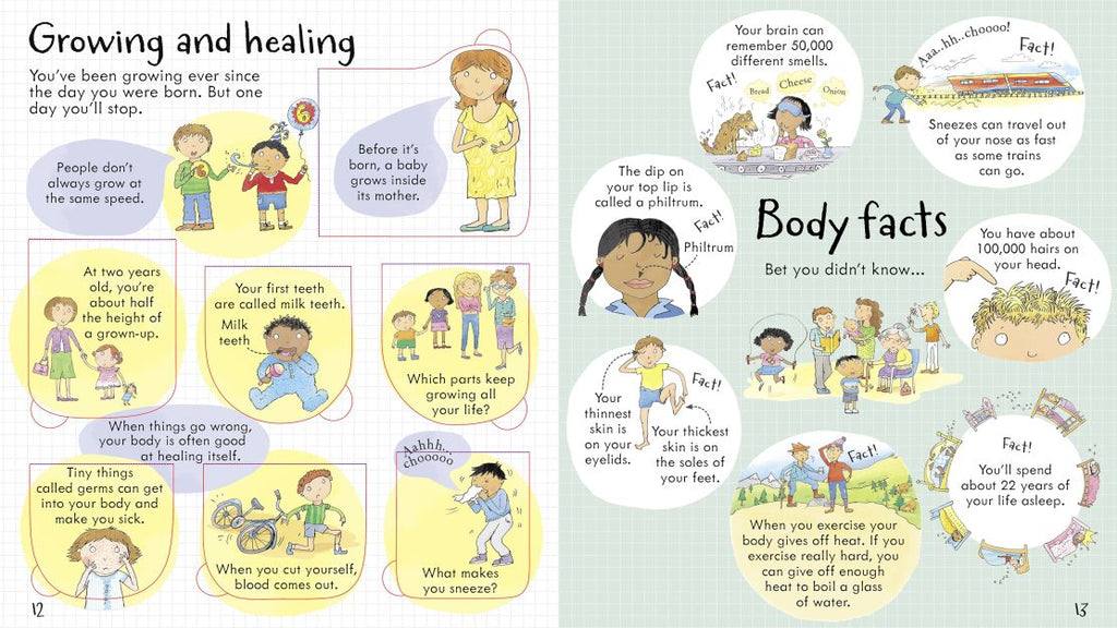 Priveste in interiorul corpului tau, Look inside your body, Usborne, +5 ani