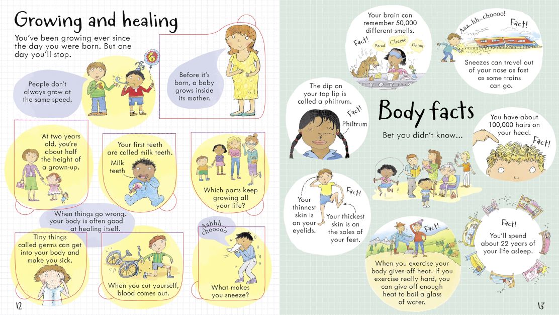 Priveste in interiorul corpului tau, Look inside your body, Usborne, +5 ani