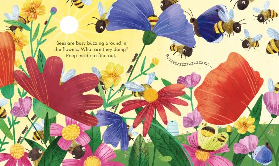 Carte cu clapete Peep Inside a Beehive, Usborne, +3 ani
