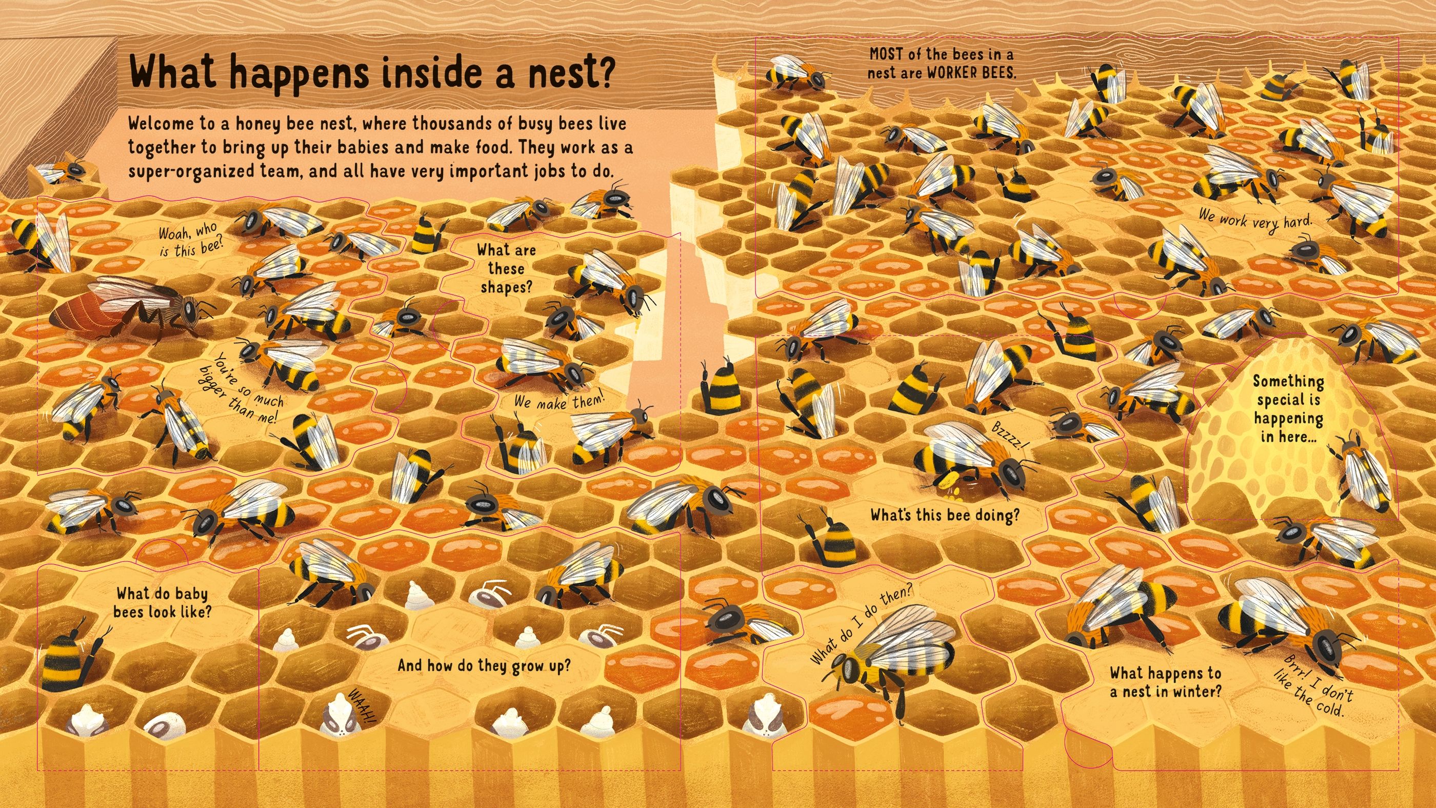 Priveste in interiorul Lumii Albinelor, Look inside the World of Bees, Usborne, +5 ani
