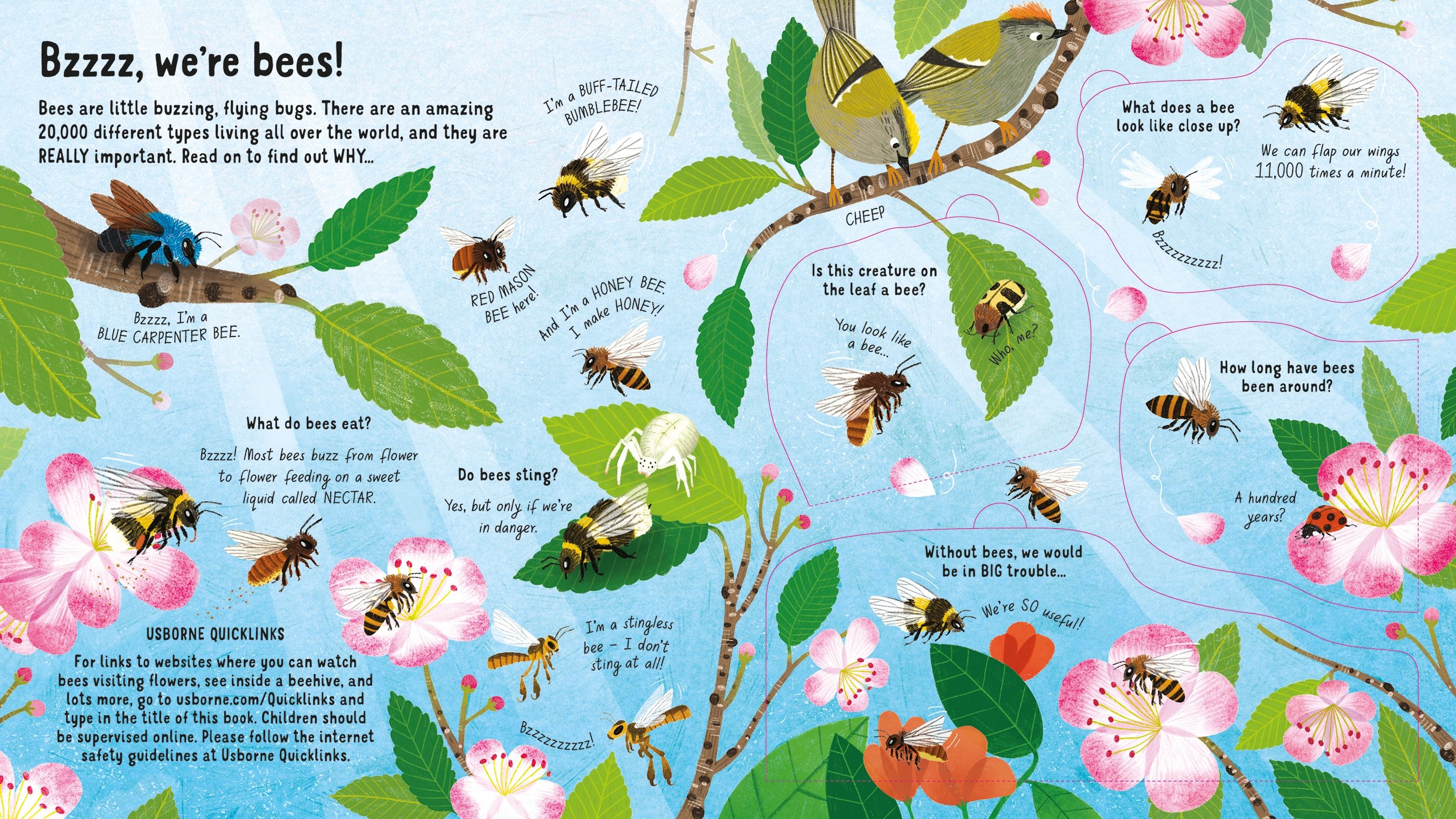 Priveste in interiorul Lumii Albinelor, Look inside the World of Bees, Usborne, +5 ani