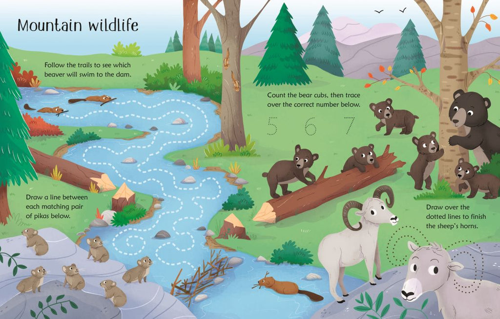 Carte Scrie si sterge Activitati in Natura, Wipe-Clean Nature Activities, Usborne, +3 ani