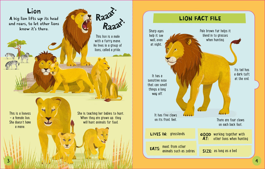 Carte interactiva de asamblat 3D, Animale, colectia Slot-together, Usborne, +4 ani