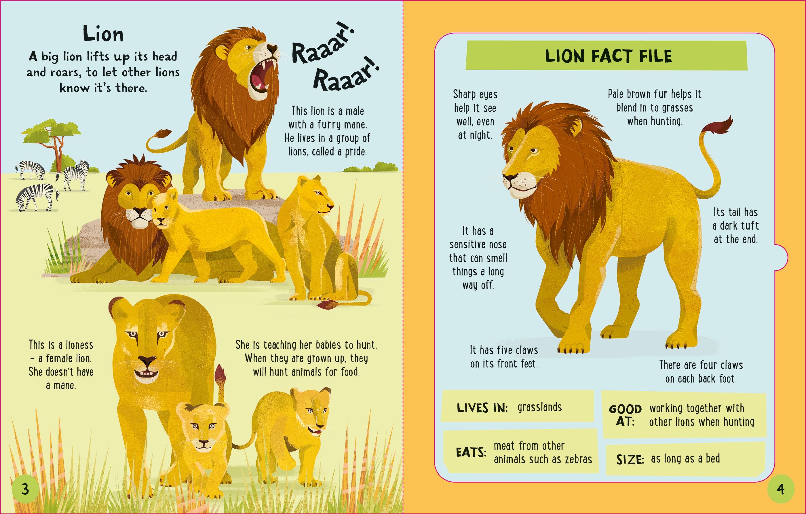 Carte interactiva de asamblat 3D, Animale, colectia Slot-together, Usborne, +4 ani