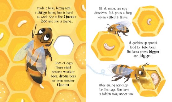 Carte cu decupaje One Little Bee, Life Cycles, Usborne, +2 ani