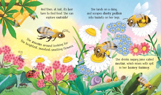 Carte cu decupaje One Little Bee, Life Cycles, Usborne, +2 ani