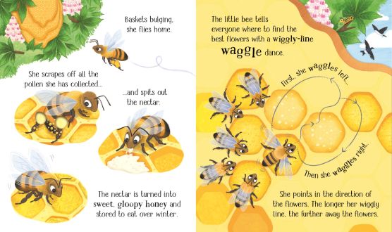 Carte cu decupaje One Little Bee, Life Cycles, Usborne, +2 ani