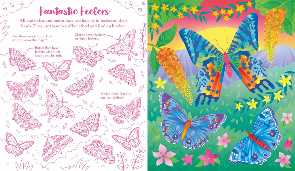 Carte de activitati cu Fluturi, Scratch Activities Butterflies, Usborne, +6 ani