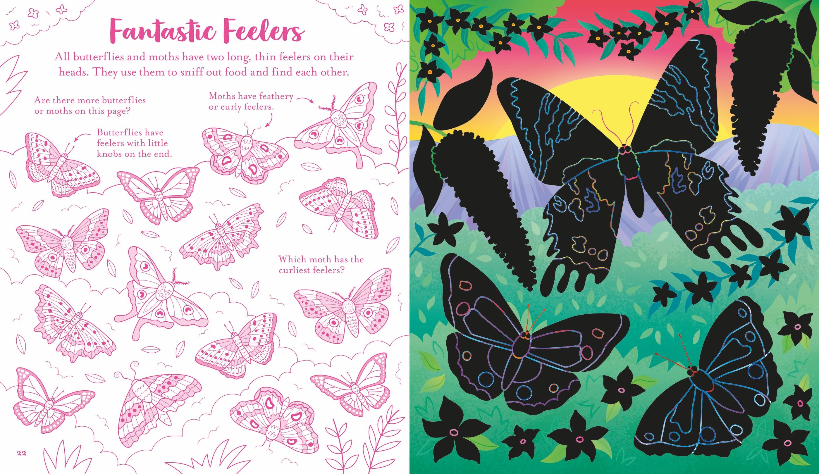 Carte de activitati cu Fluturi, Scratch Activities Butterflies, Usborne, +6 ani