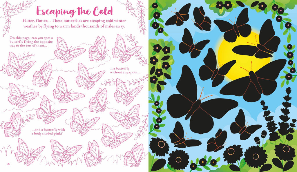 Carte de activitati cu Fluturi, Scratch Activities Butterflies, Usborne, +6 ani