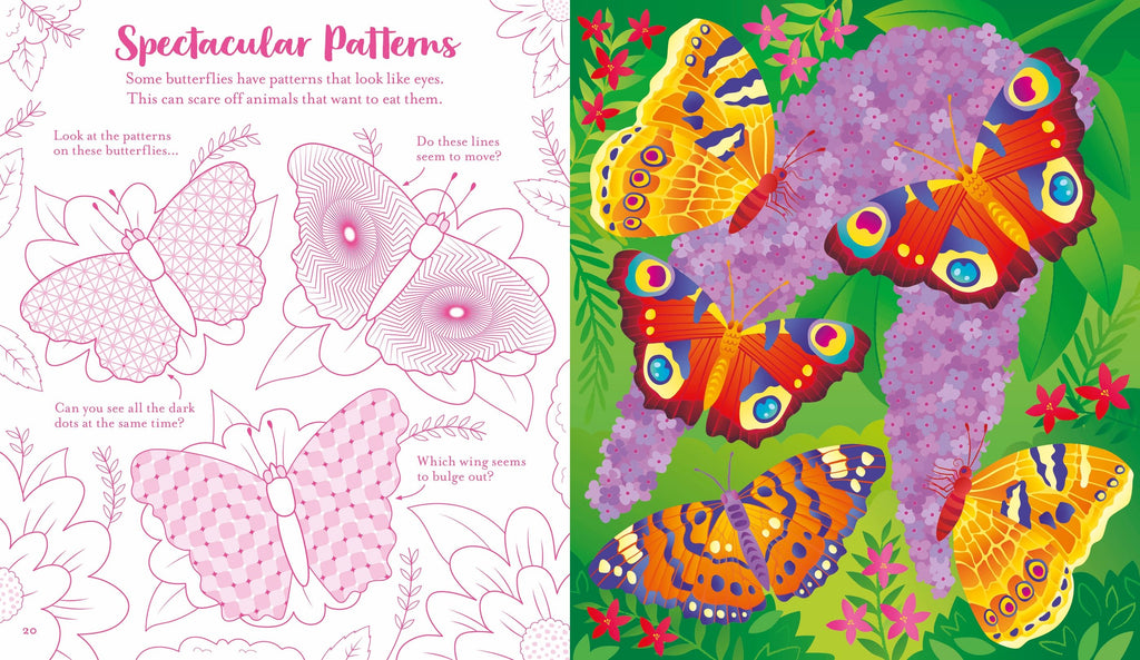 Carte de activitati cu Fluturi, Scratch Activities Butterflies, Usborne, +6 ani