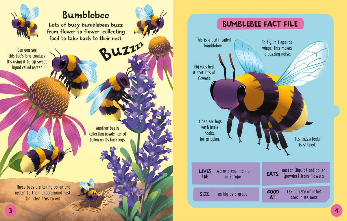 Carte interactiva de asamblat 3D, Insecte, colectia Slot-together, Usborne, +4 ani
