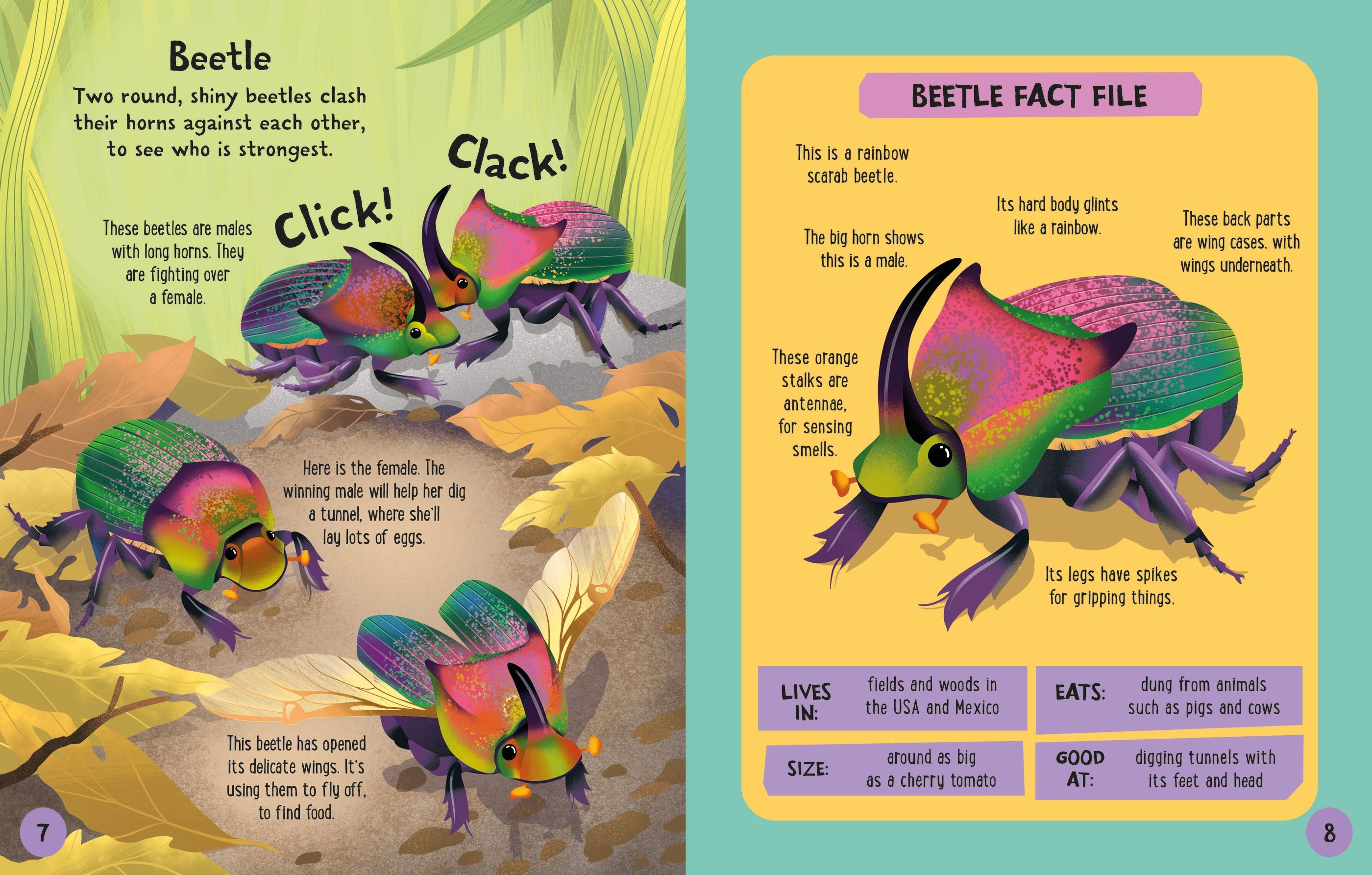 Carte interactiva de asamblat 3D, Insecte, colectia Slot-together, Usborne, +4 ani
