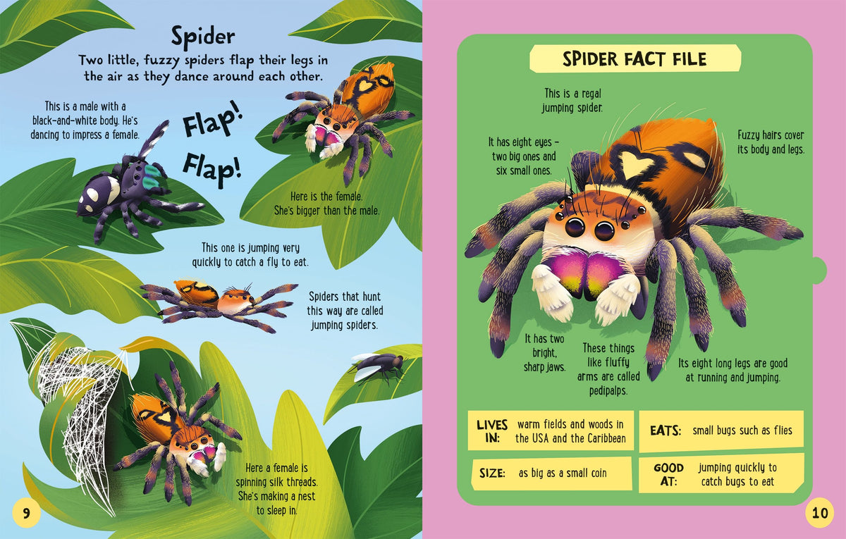 Carte interactiva de asamblat 3D, Insecte, colectia Slot-together, Usborne, +4 ani