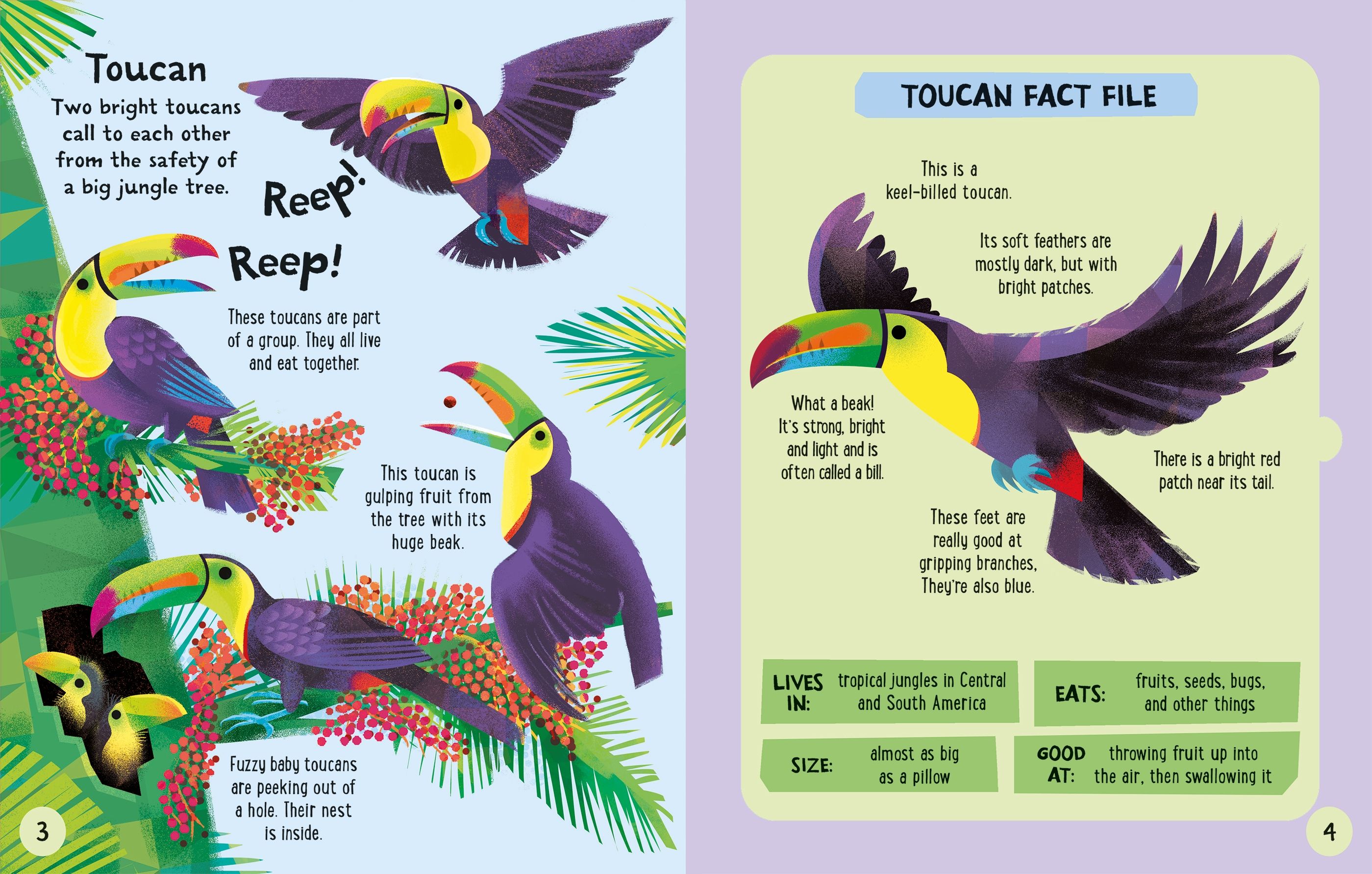 Carte interactiva de asamblat 3D, Animale din Jungla, colectia Slot-together, Usborne, +4 ani