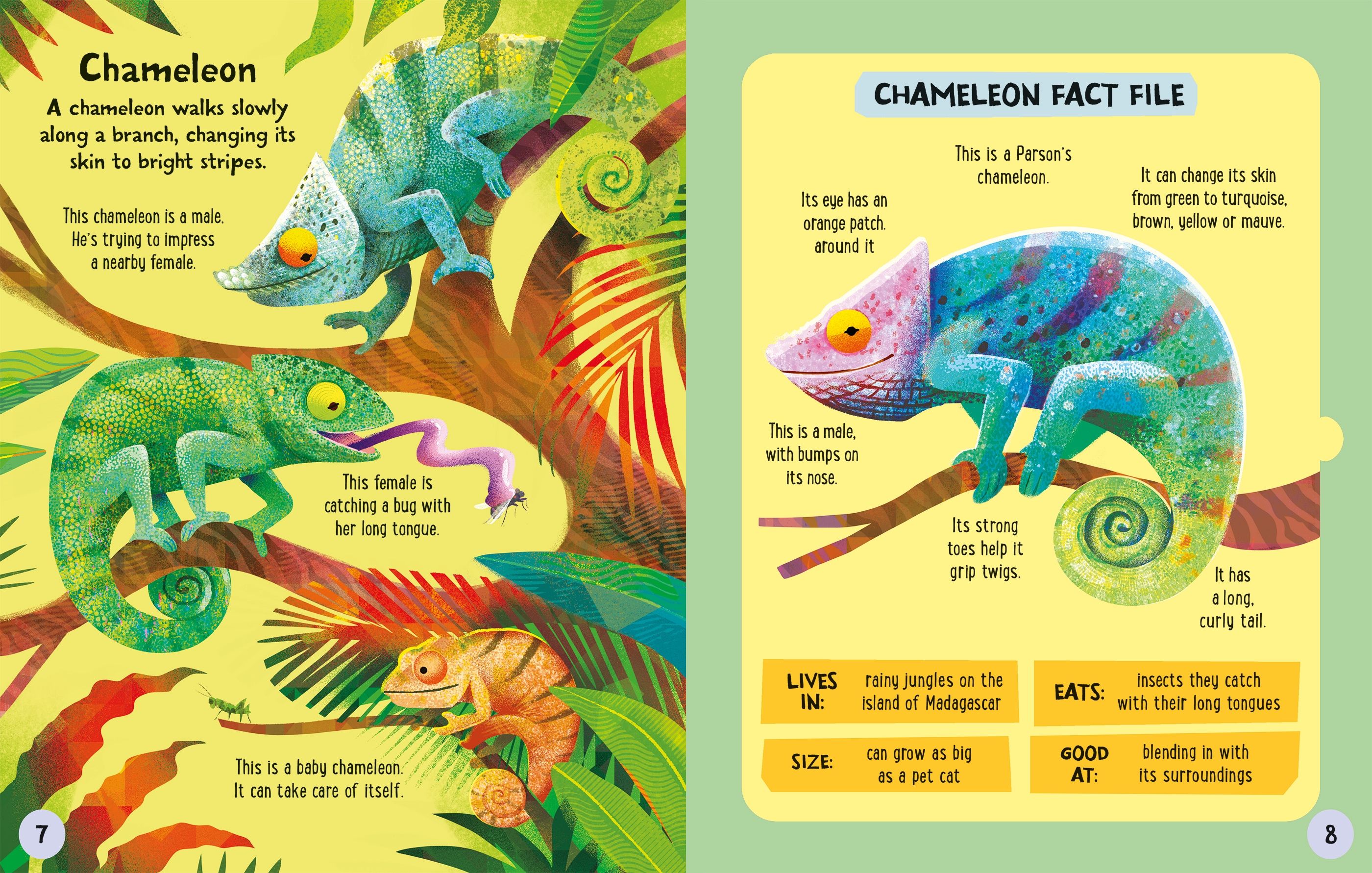 Carte interactiva de asamblat 3D, Animale din Jungla, colectia Slot-together, Usborne, +4 ani