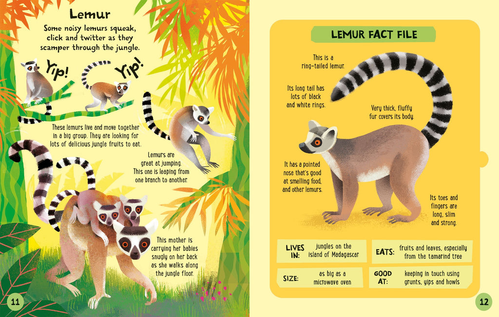 Carte interactiva de asamblat 3D, Animale din Jungla, colectia Slot-together, Usborne, +4 ani