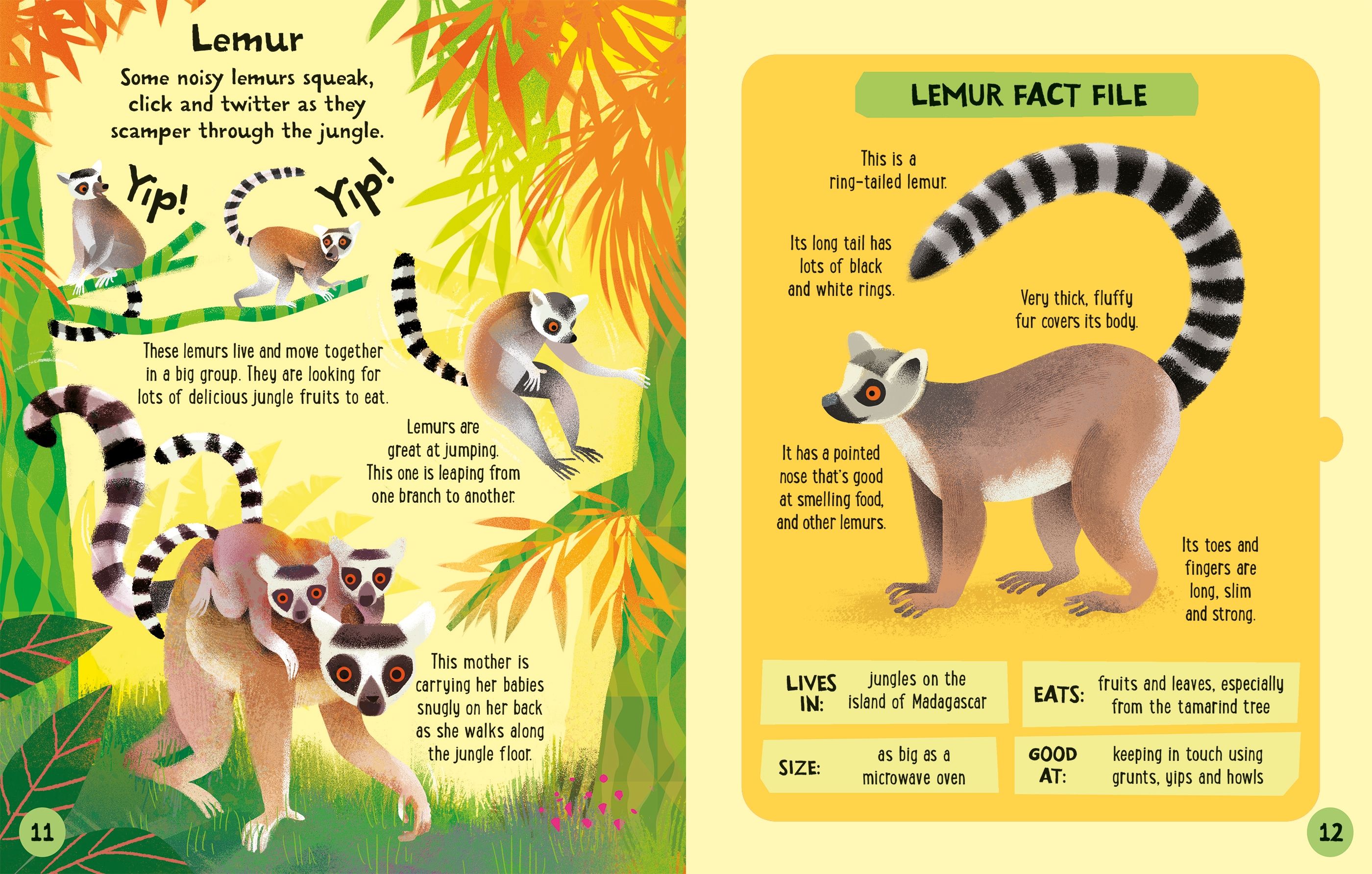 Carte interactiva de asamblat 3D, Animale din Jungla, colectia Slot-together, Usborne, +4 ani
