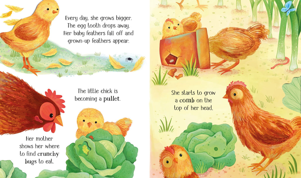 Carte cu decupaje One Little Chick, Life Cycles, Usborne, +2 ani