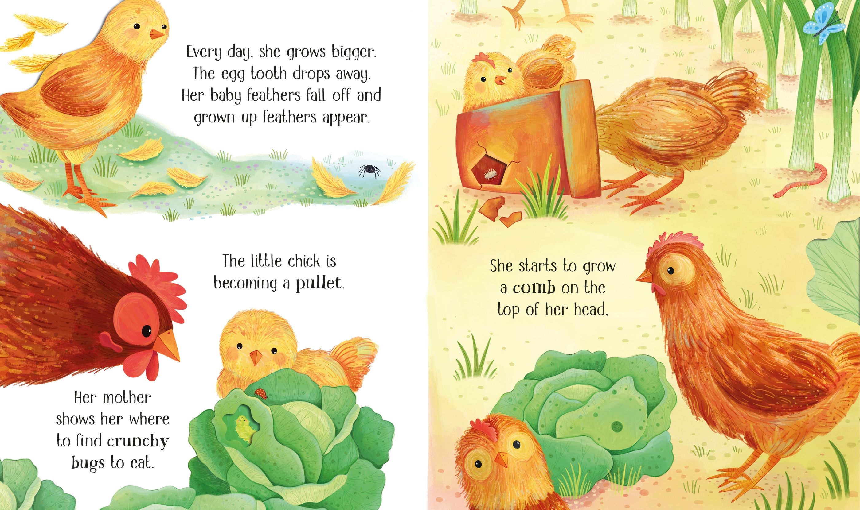 Carte cu decupaje One Little Chick, Life Cycles, Usborne, +2 ani