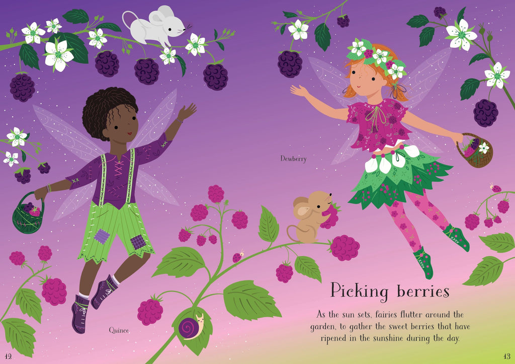 Carte cu stickere cu zana gradinii Little Sticker Dolly Dressing Garden Fairy, Usborne, +4 ani