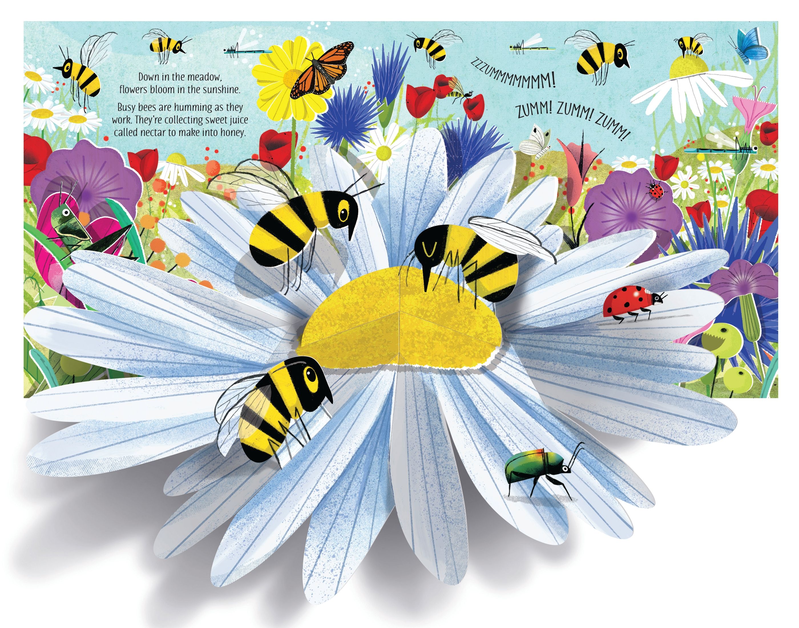Carte interactiva cu elemente 3D Natura, Pop-Up Nature, Usborne, +5 ani