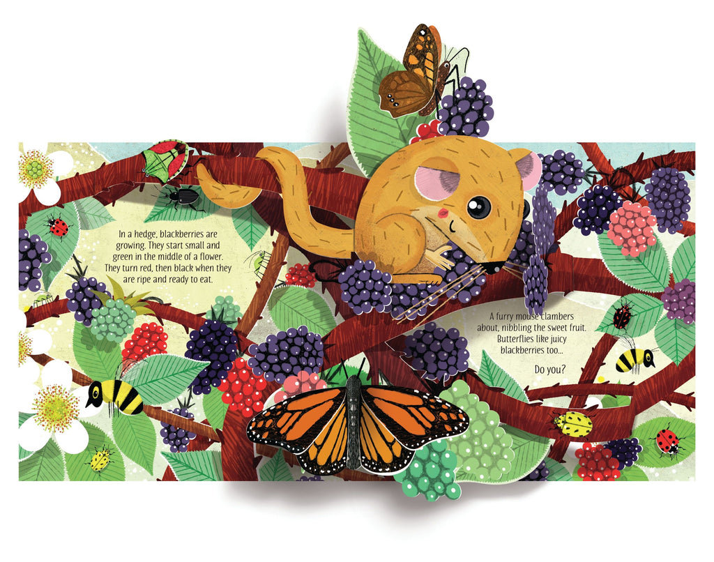 Carte interactiva cu elemente 3D Natura, Pop-Up Nature, Usborne, +5 ani