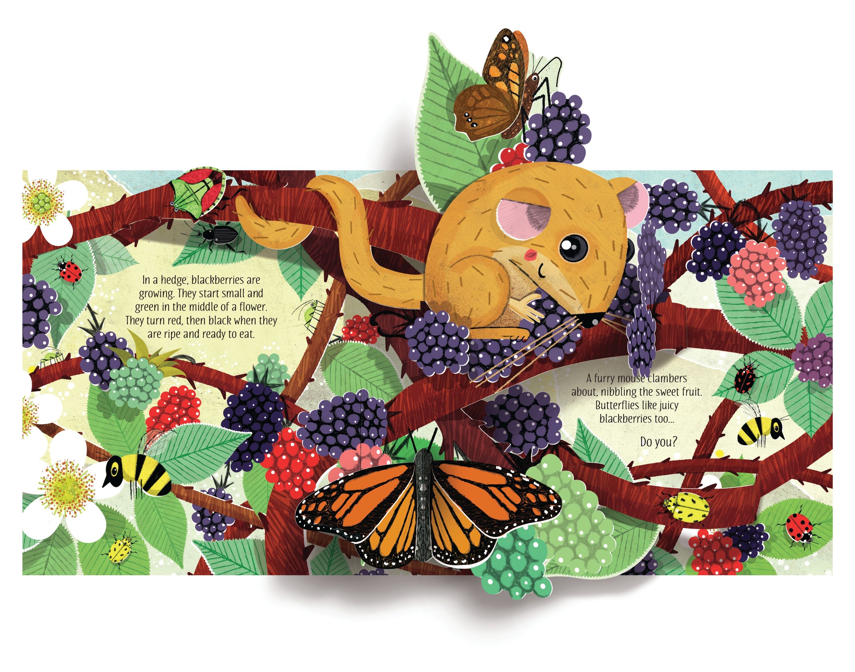 Carte interactiva cu elemente 3D Natura, Pop-Up Nature, Usborne, +5 ani