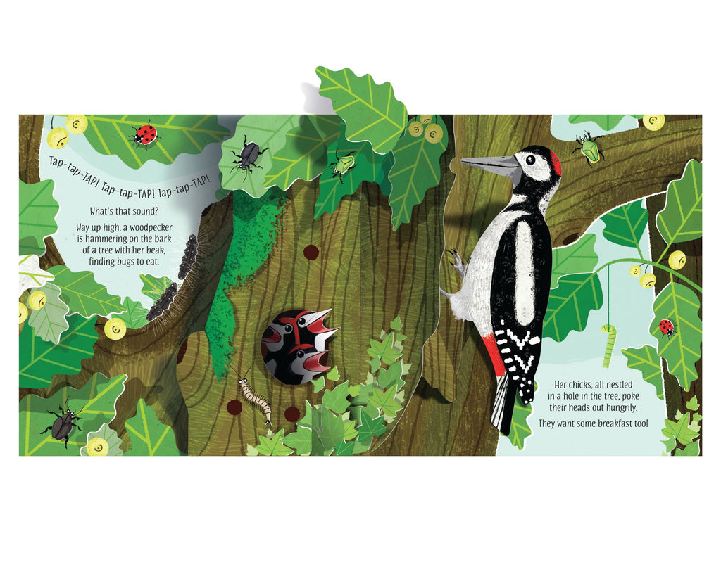 Carte interactiva cu elemente 3D Natura, Pop-Up Nature, Usborne, +5 ani