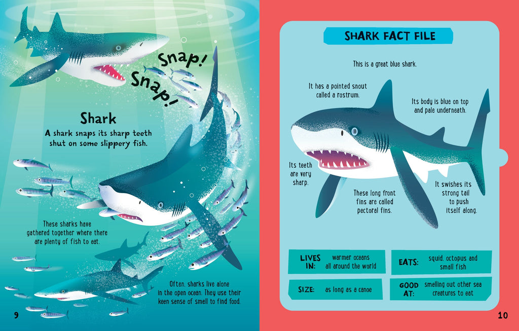 Carte interactivă de asamblat 3D, Creaturi marine, colectia "Slot-together", Usborne, +4 ani
