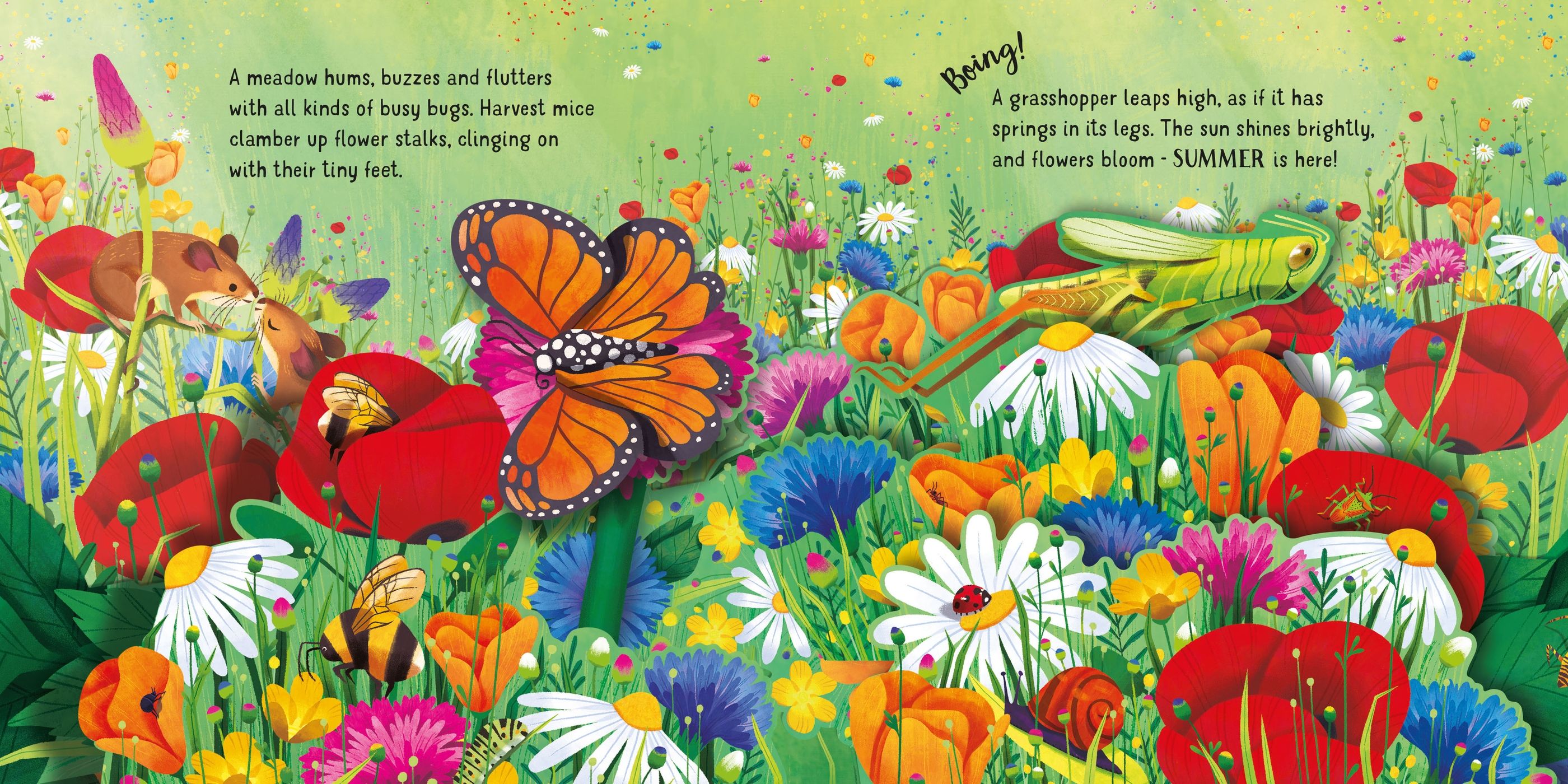 Carte interactiva cu elemente 3D Anotimpuri, Pop-Up Seasons, Usborne, +3 ani