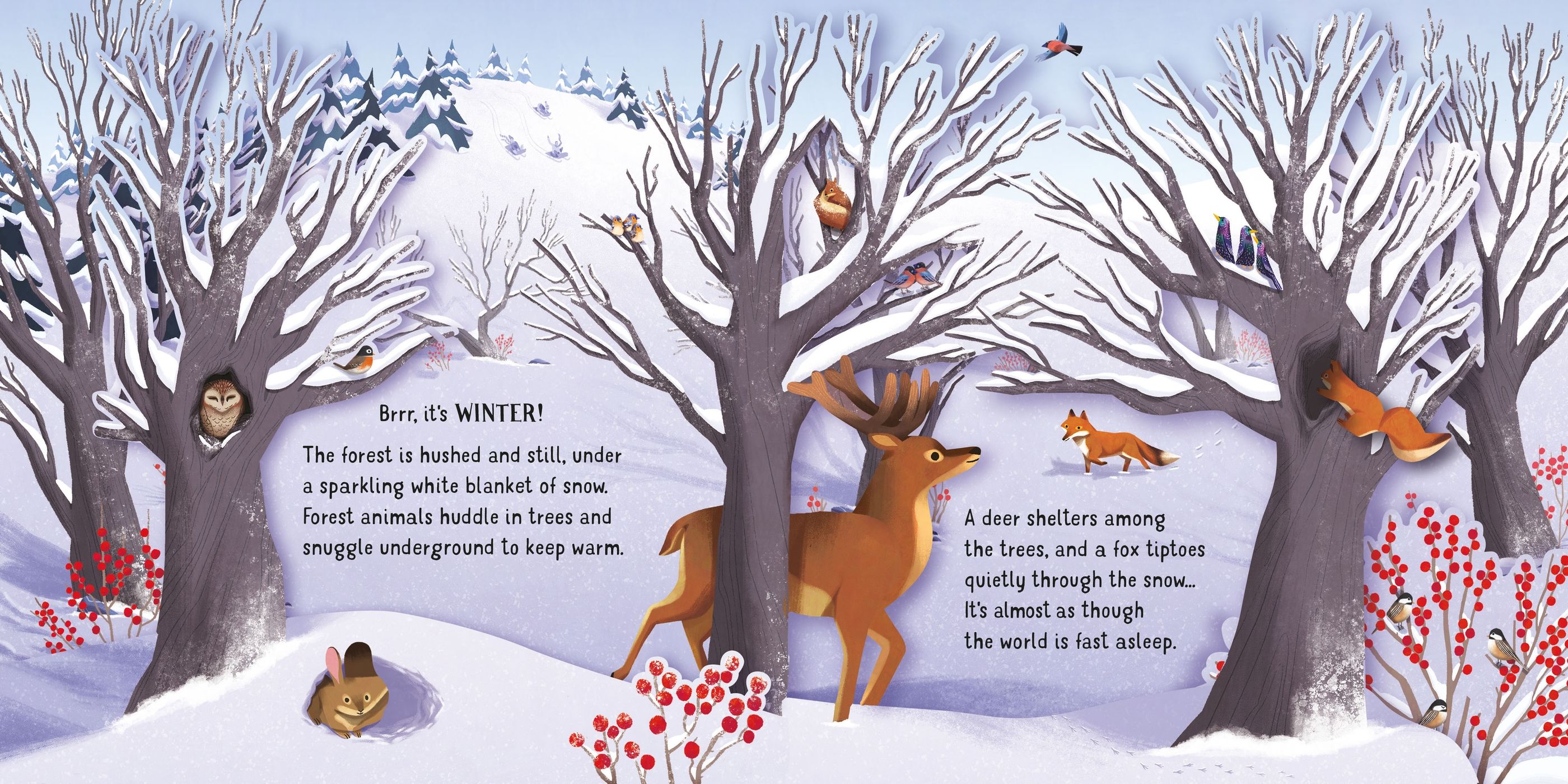 Carte interactiva cu elemente 3D Anotimpuri, Pop-Up Seasons, Usborne, +3 ani