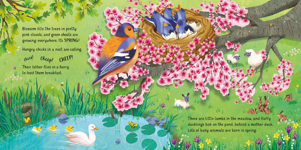 Carte interactiva cu elemente 3D Anotimpuri, Pop-Up Seasons, Usborne, +3 ani