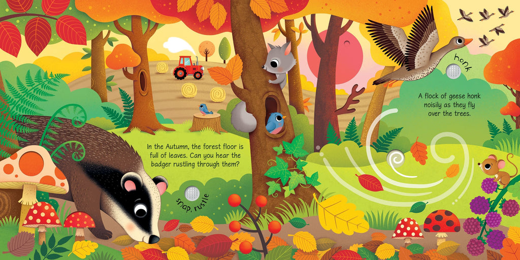 Carte interactiva cu sunete Sunetele anotimpurilor, Seasons Sounds, Usborne, +3 ani