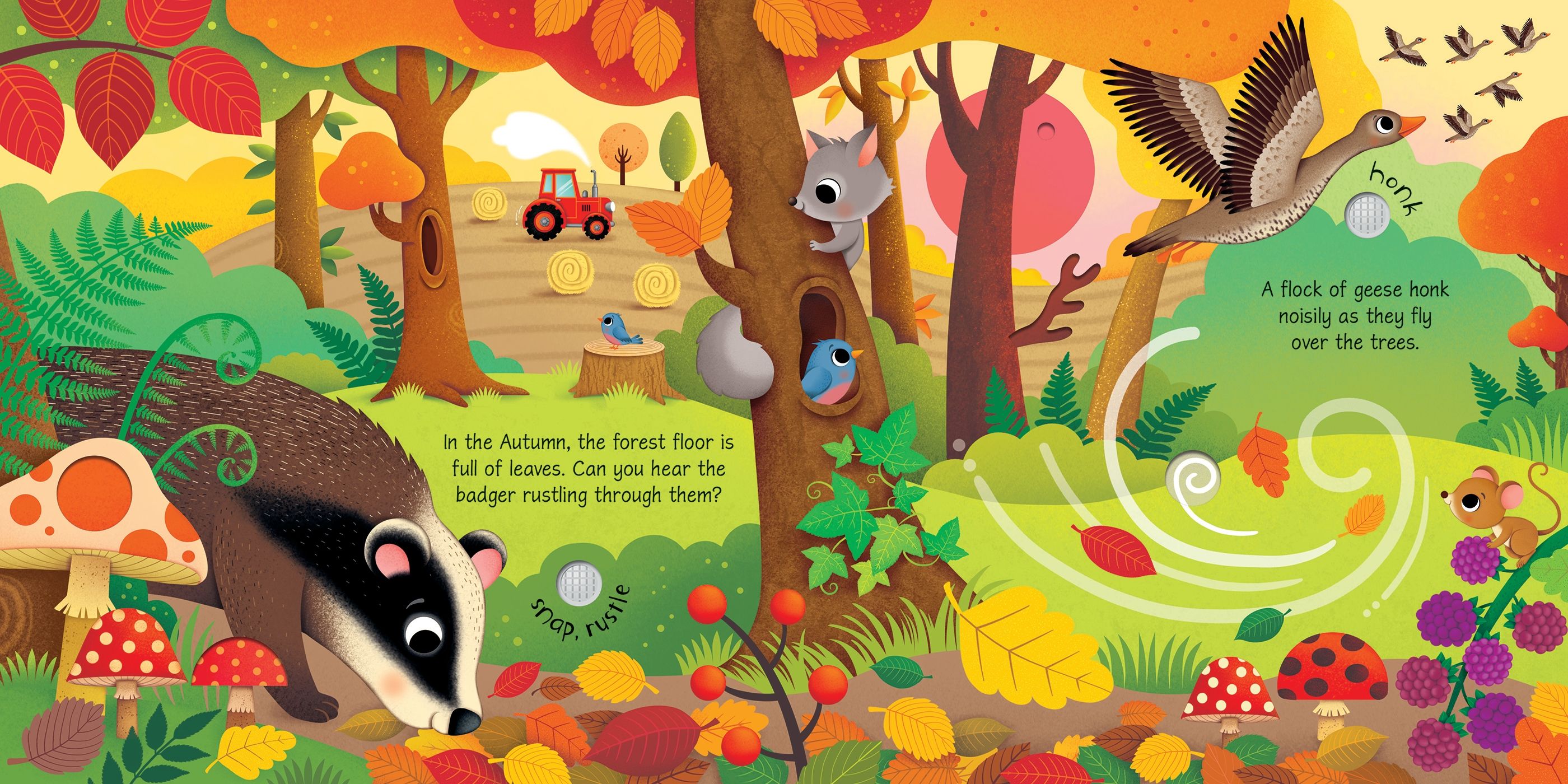 Carte interactiva cu sunete Sunetele anotimpurilor, Seasons Sounds, Usborne, +3 ani
