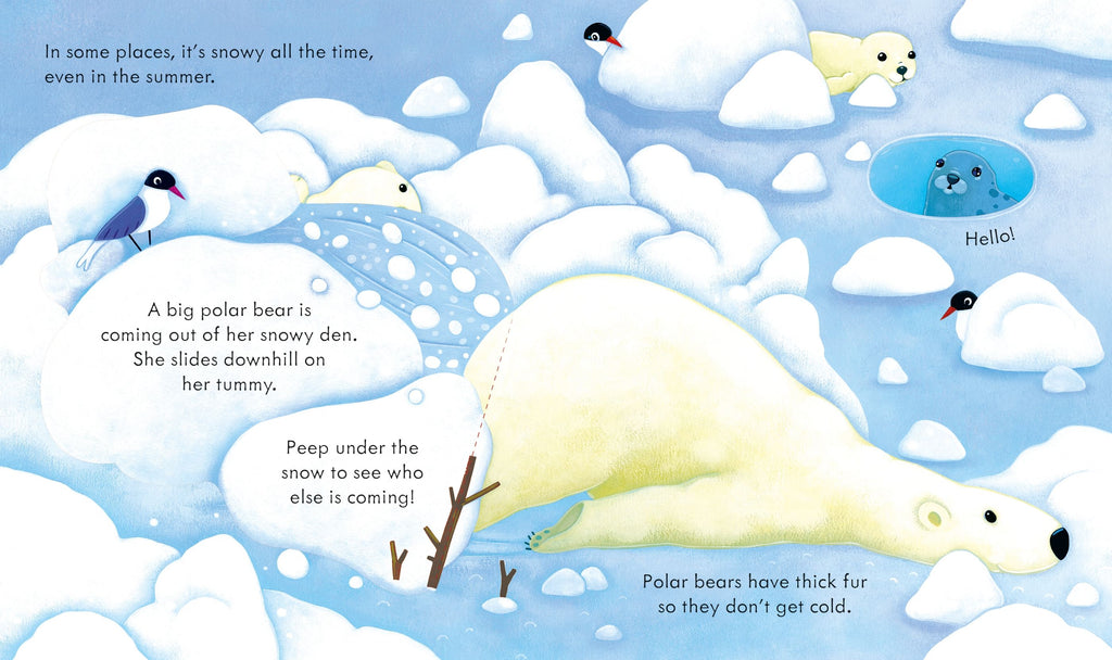 Carte cu clapete Descopera locuri inzapezite, Peep Inside Snowy Places, Usborne, +3 ani