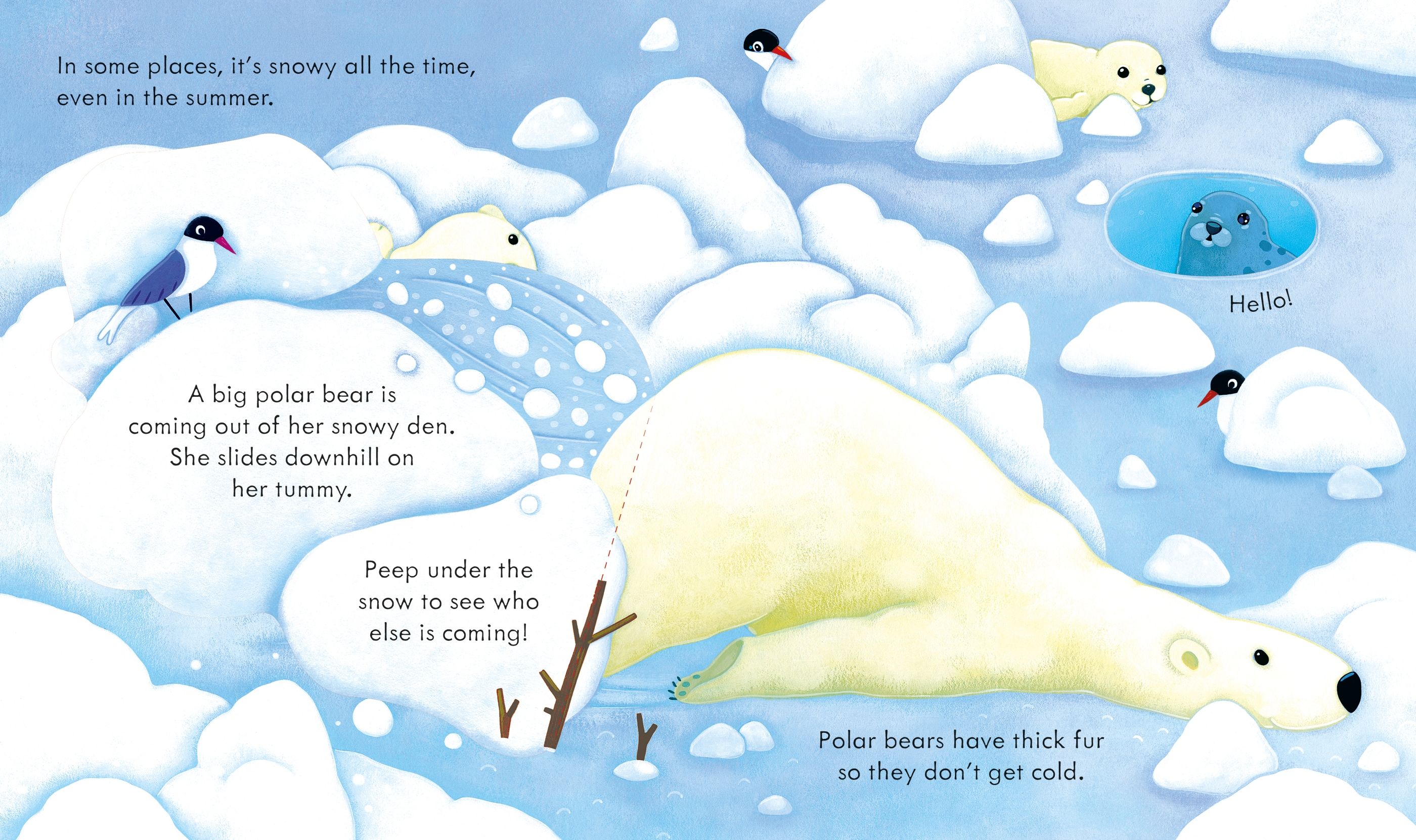 Carte cu clapete Descopera locuri inzapezite, Peep Inside Snowy Places, Usborne, +3 ani